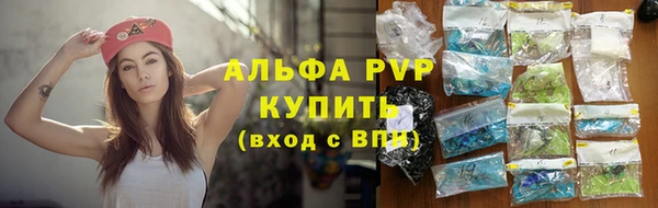 mdpv Богородицк